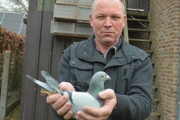 Afbeelding van BON 11 - DERUYCK BART OOSTROZEBEKE