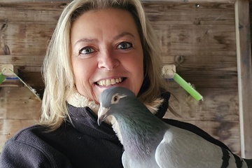 Afbeelding van BON 40: Goetyn Annick Deinze