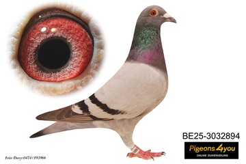 Afbeelding van Jong 4 - DOCHTER GRINTA 25-3032894