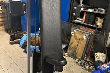 Afbeelding van Technogym Pectoral