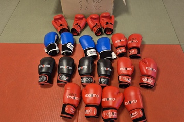 Afbeelding van Set bokshandschoenen Essimo