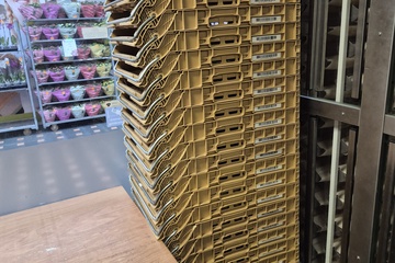 Afbeelding van Partij broodkratten op kar