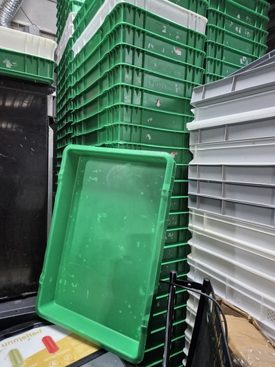 10 groene kunststof pizza deegbakken